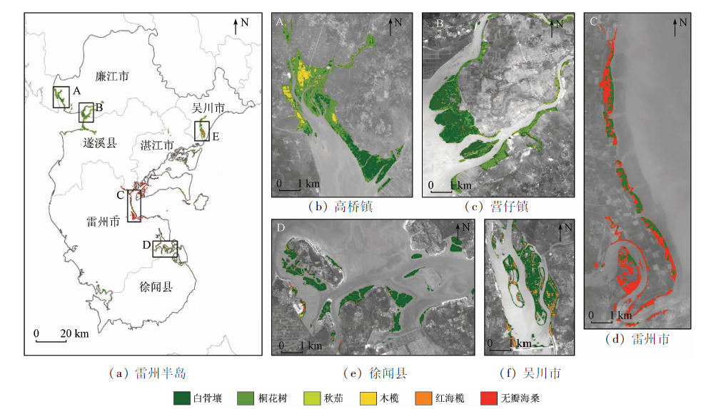 3   雷州半岛红树林分布空间格局                  tab.
