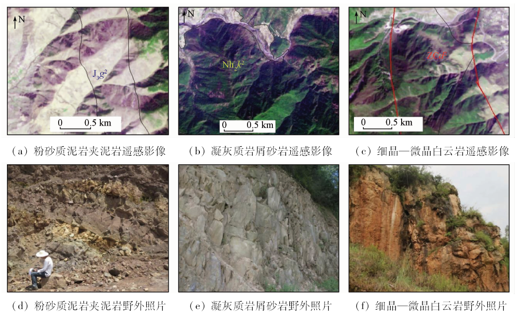 fig.2   部分地层岩性单元影像特征及野外照片